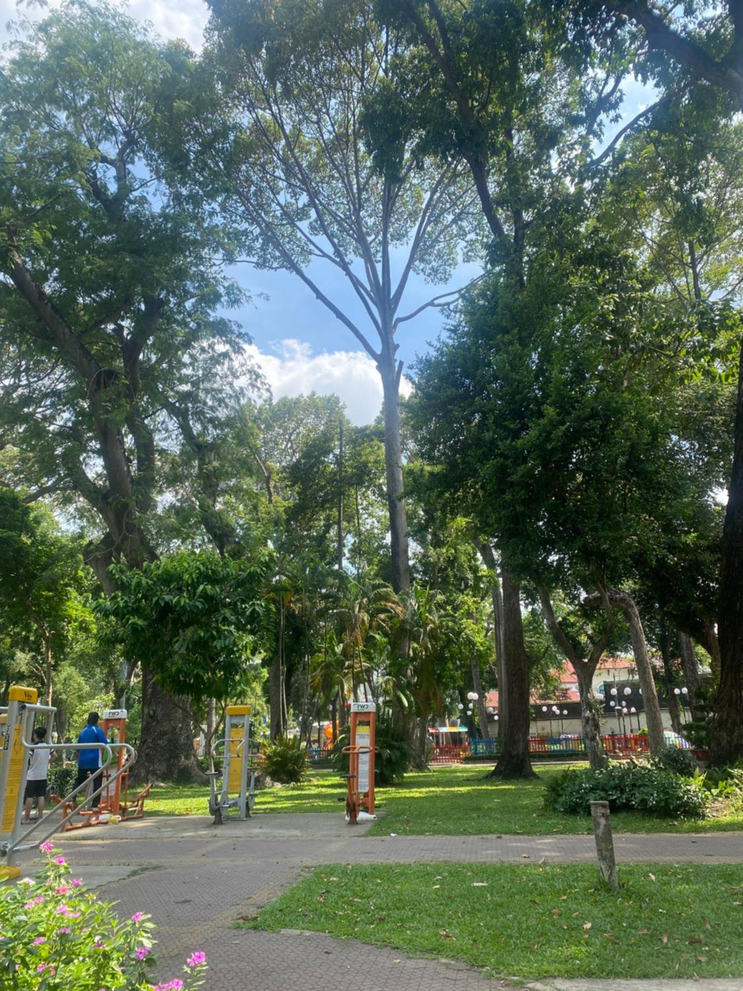Apartment Phong Tao Dan